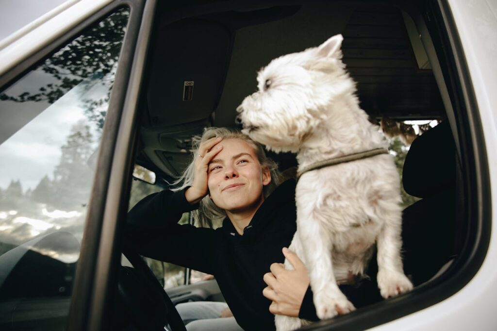 Ausflug mit Hund in Hessen